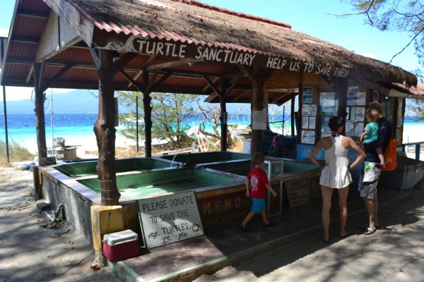 Turtle sanctuary Gili Meno