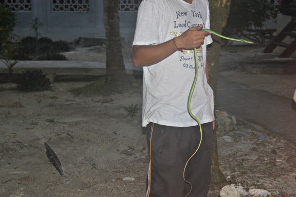 Evening visitor at Tuna Bay