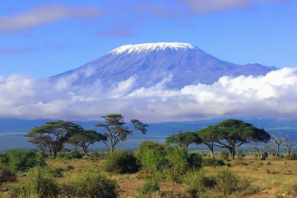 Mt. KILIMANJARO