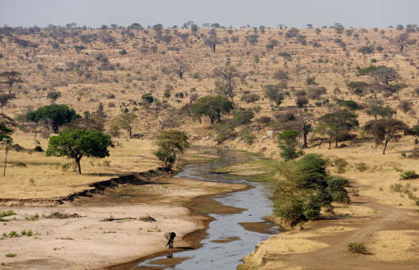 TARANGIRE NATIONAL PARK