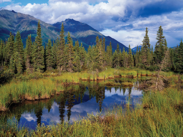 WRANGLER ST. ELIAS NAT. PARK