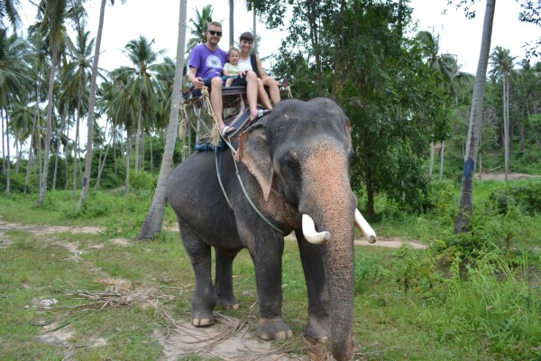 Elephants are sooooo big