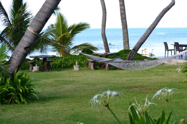 Hammock where you can spend your afternoons