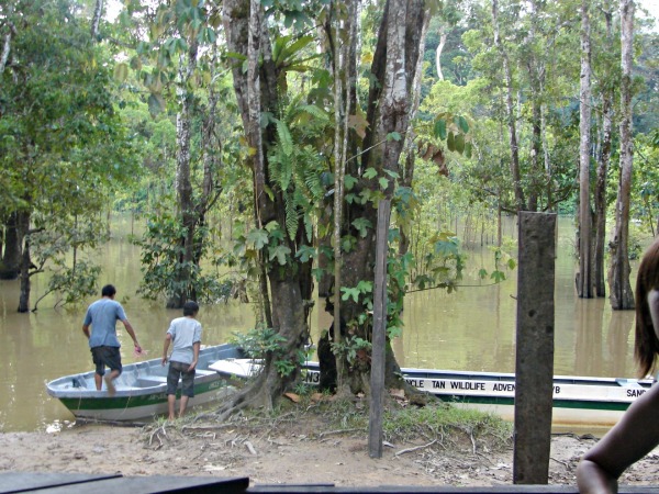 Kinabatangan River transportation