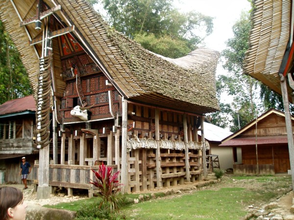 Torajan house (buffalo horns at the entrance)