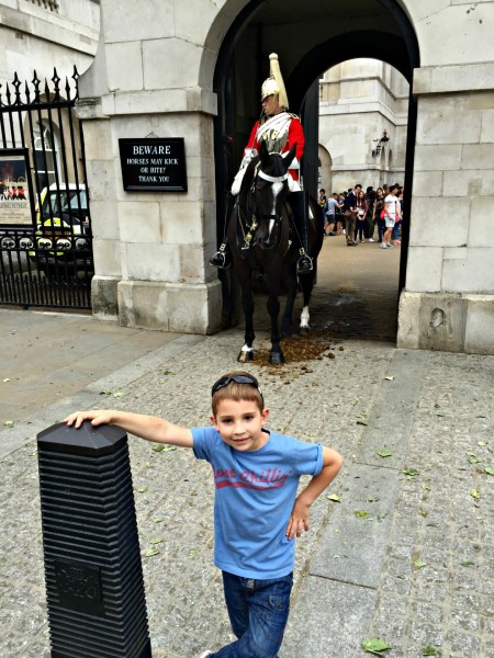 Horse Guard