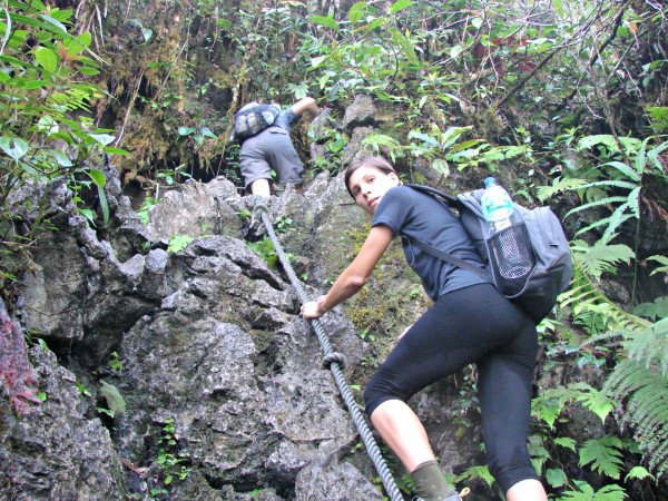 Climbing the Pinnacles on Borneo is not an easy task