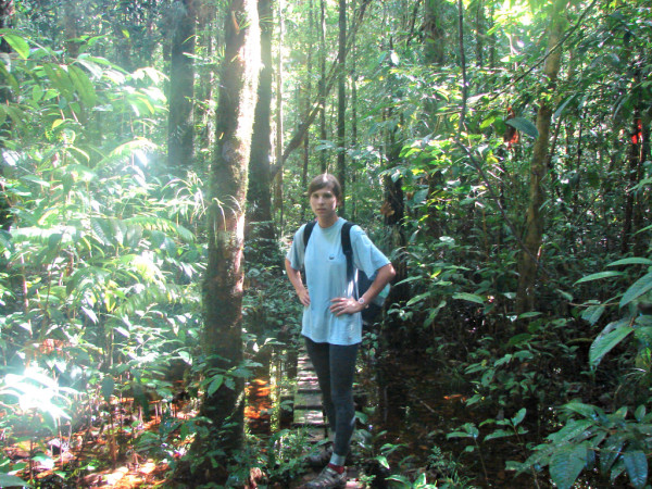 In Sabah rainforest