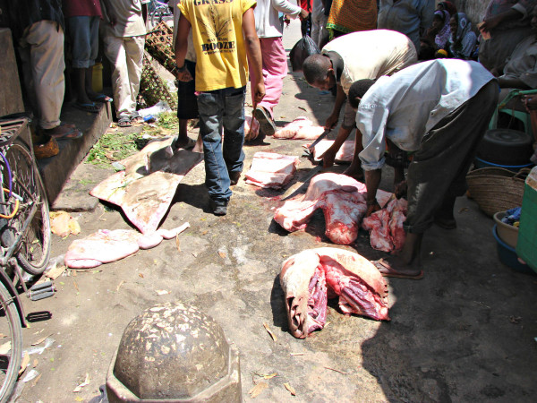 Fish market on Zanzibar is not for upset stomach