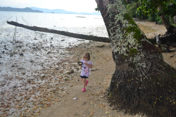 Collecting shells