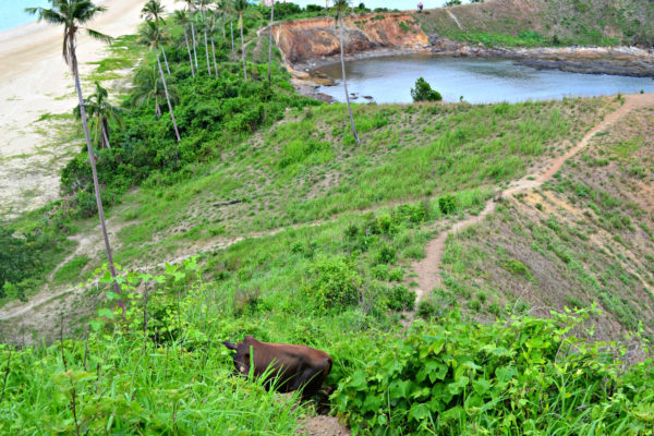 Trail to the viewing point