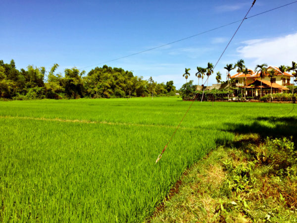 Lama Homestay Hoi An