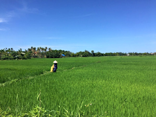 Hoi An