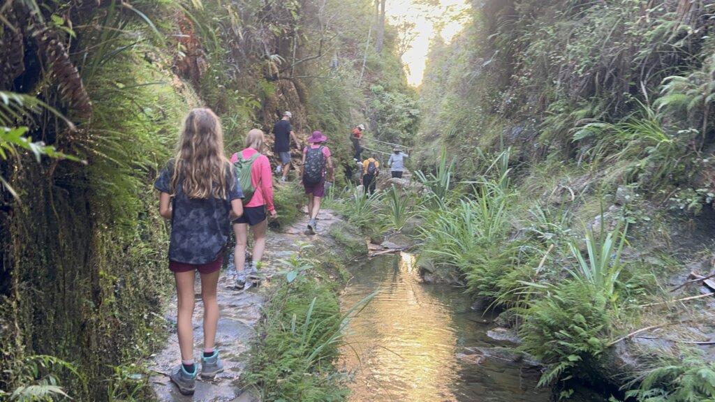 Hiking back from the canyon