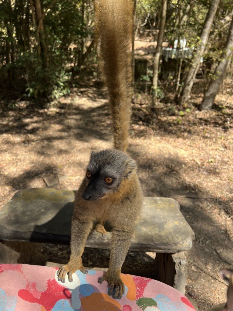 "Hi there people, what are you eatin'?"