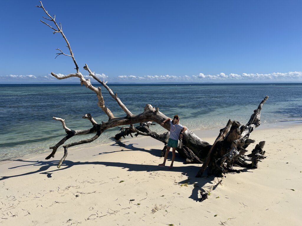 Beach on the west side of Ile Aux Nattes